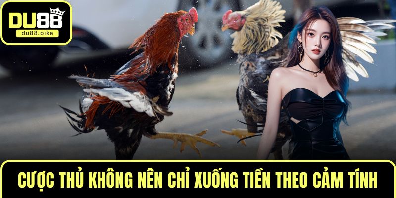 Cược thủ không nên chỉ xuống tiền theo cảm tính