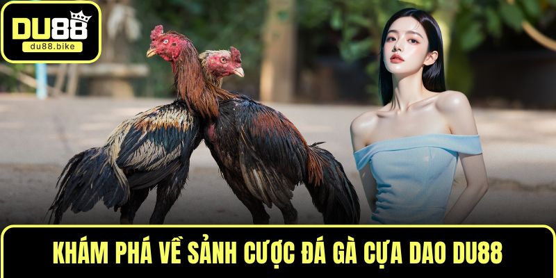 Khám phá về sảnh cược đá gà cựa dao DU88
