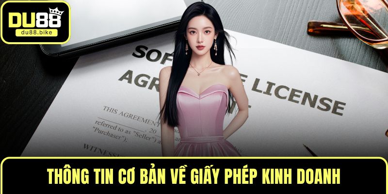 Thông tin cơ bản về giấy phép kinh doanh